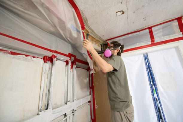 Best Residential Mold Inspection & Testing  in Cottage Grove, WI